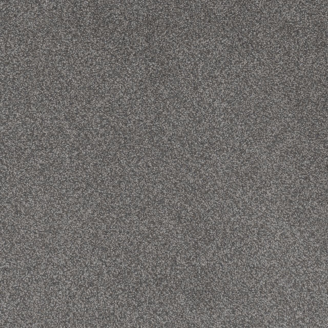 Beach Club II Forget Me Not