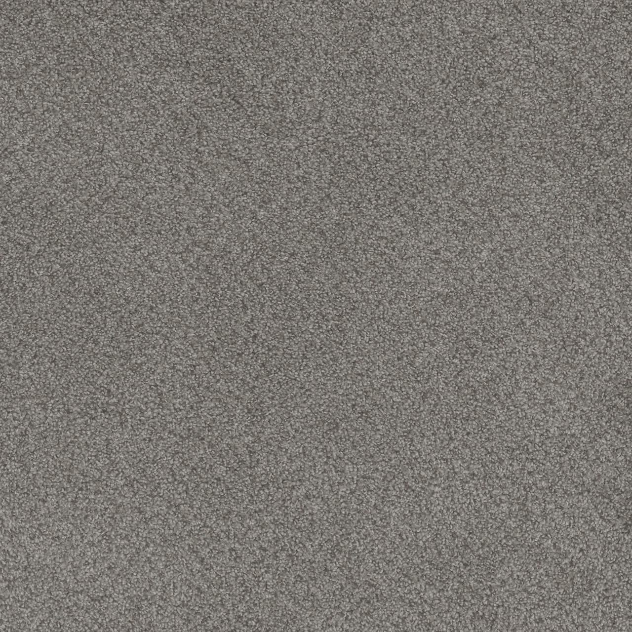 Beach Club III Aria Beach Club III Carpet flooring