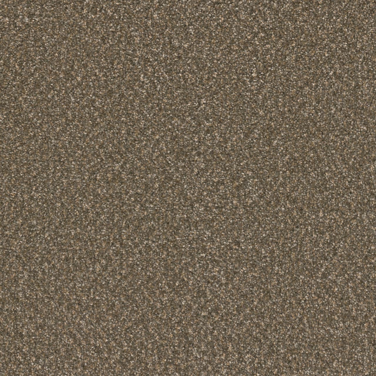 Broadcast Plus Rustic Glam