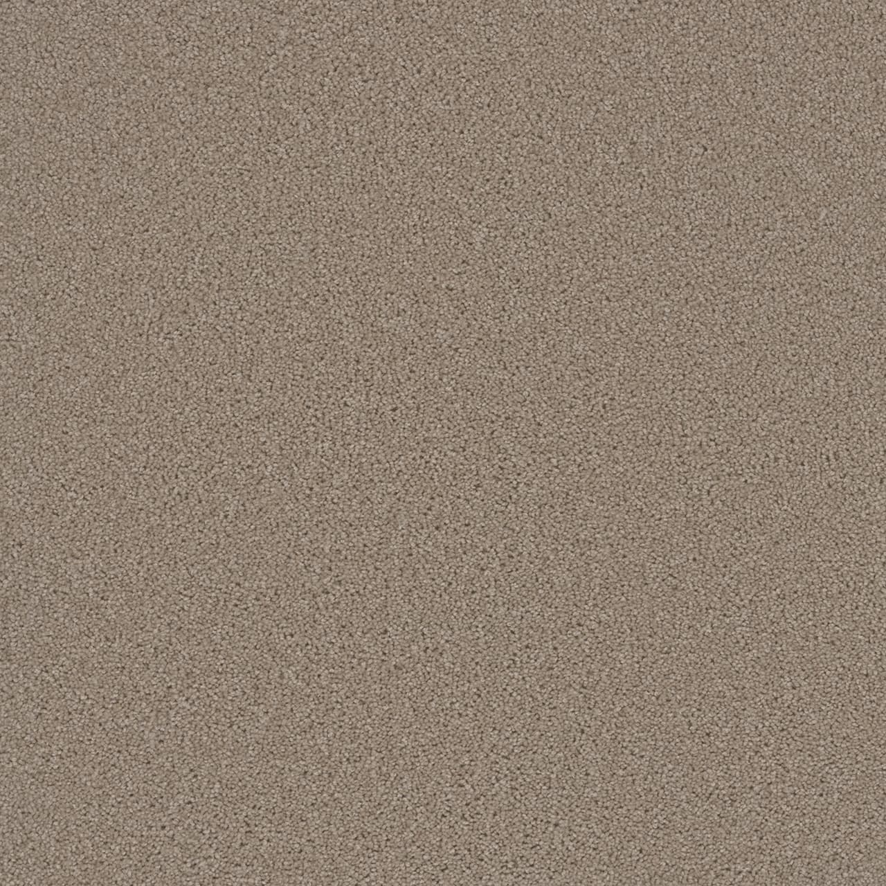 Broadcast Plus Flax Beige