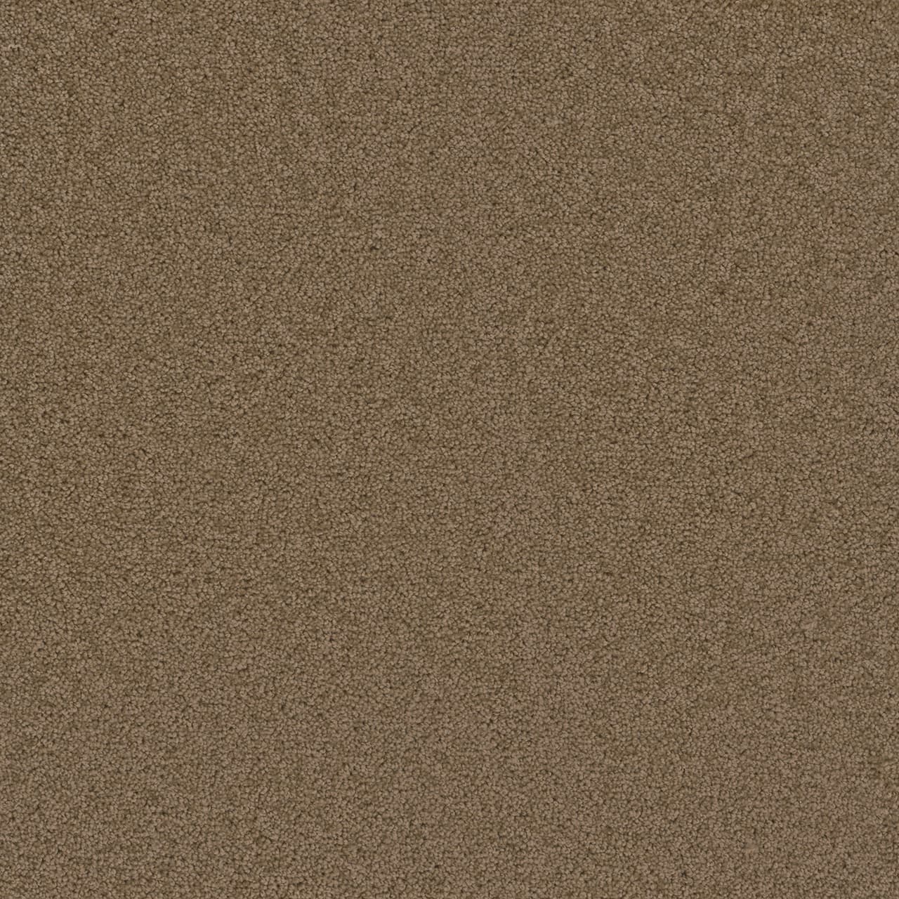 Broadcast Plus Honey Beige