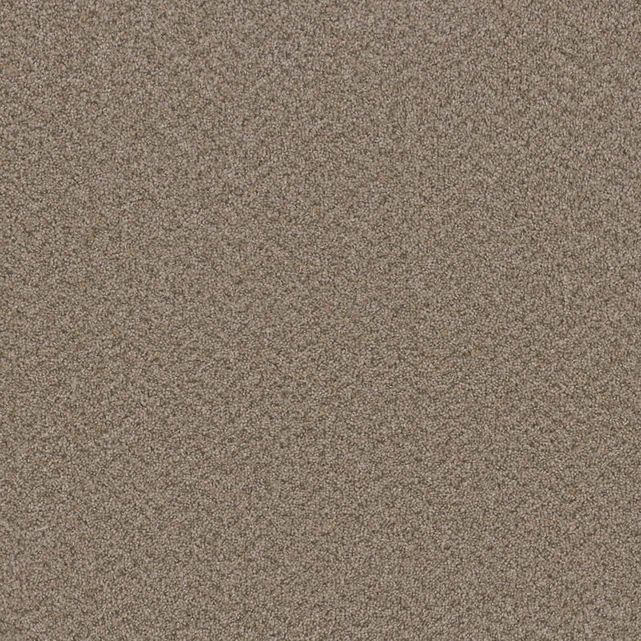 Broadcast Plus Almond Broadcast Plus Carpet flooring