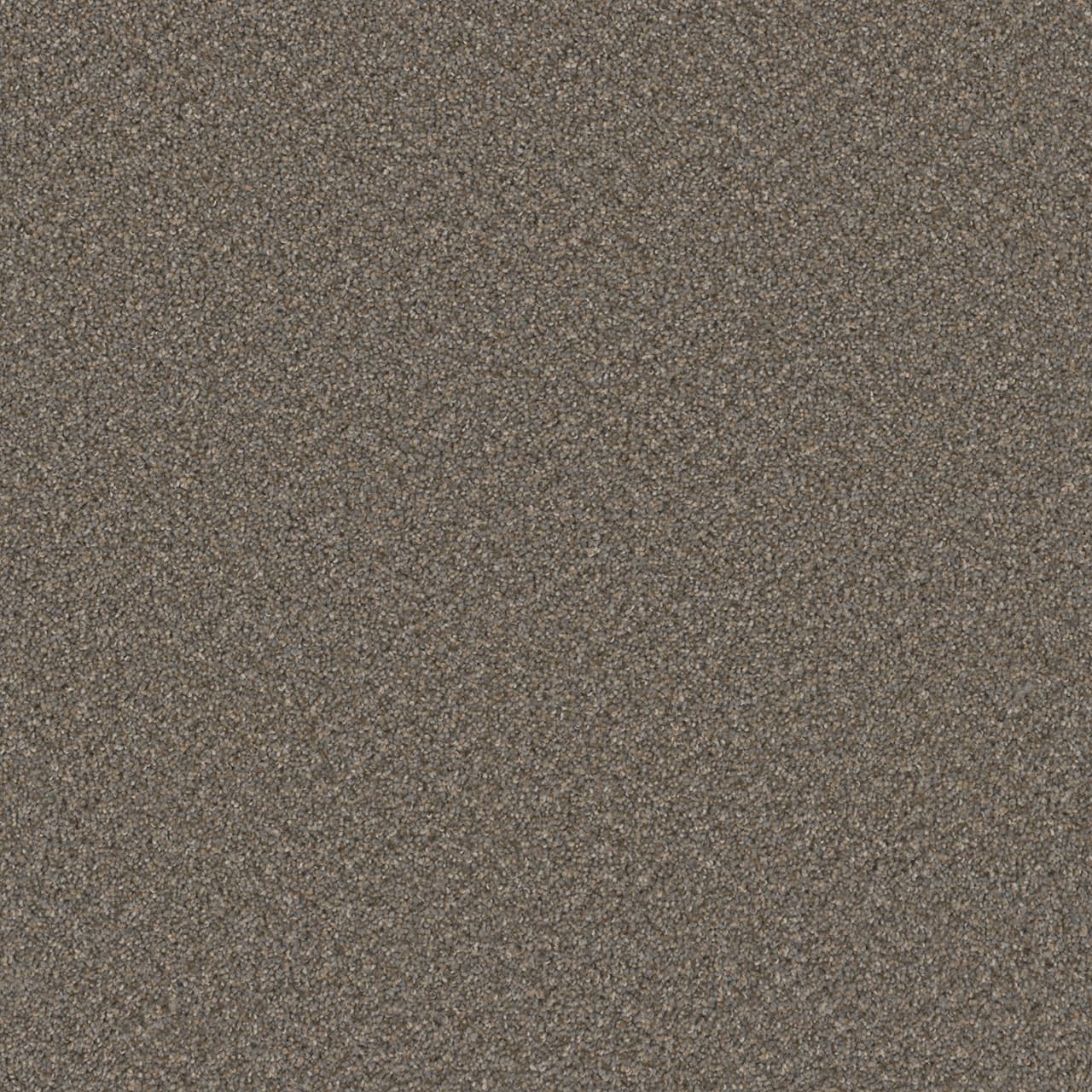 Broadcast Plus Field Slate