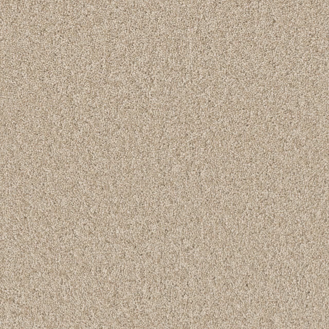 Broadcast Plus Light Bisque