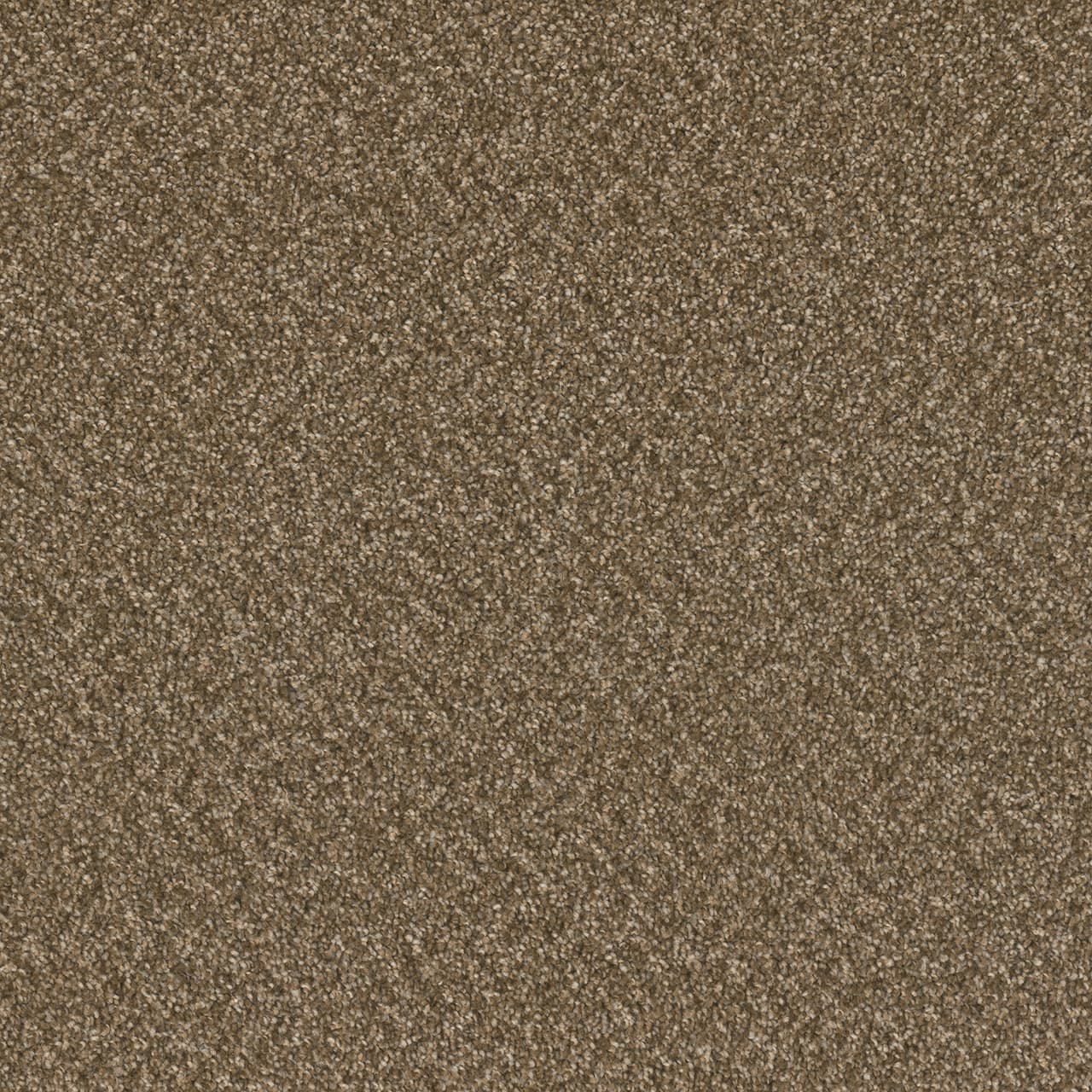 Broadcast Plus Mocha Beige