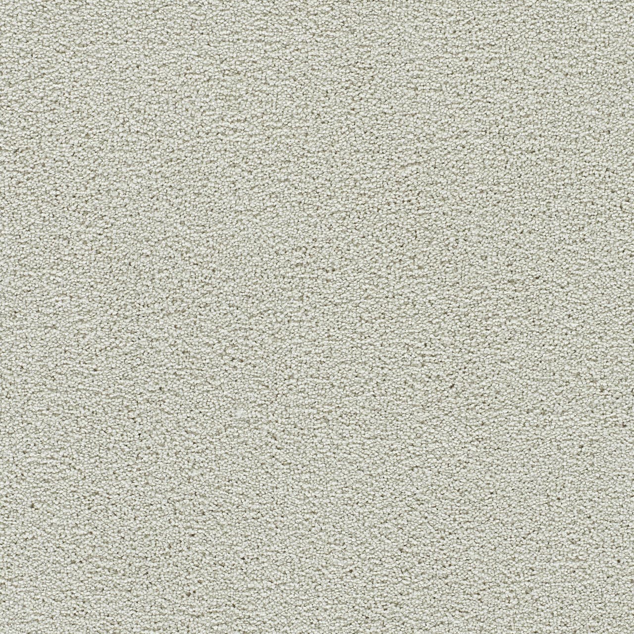 Clearwater I Snowball