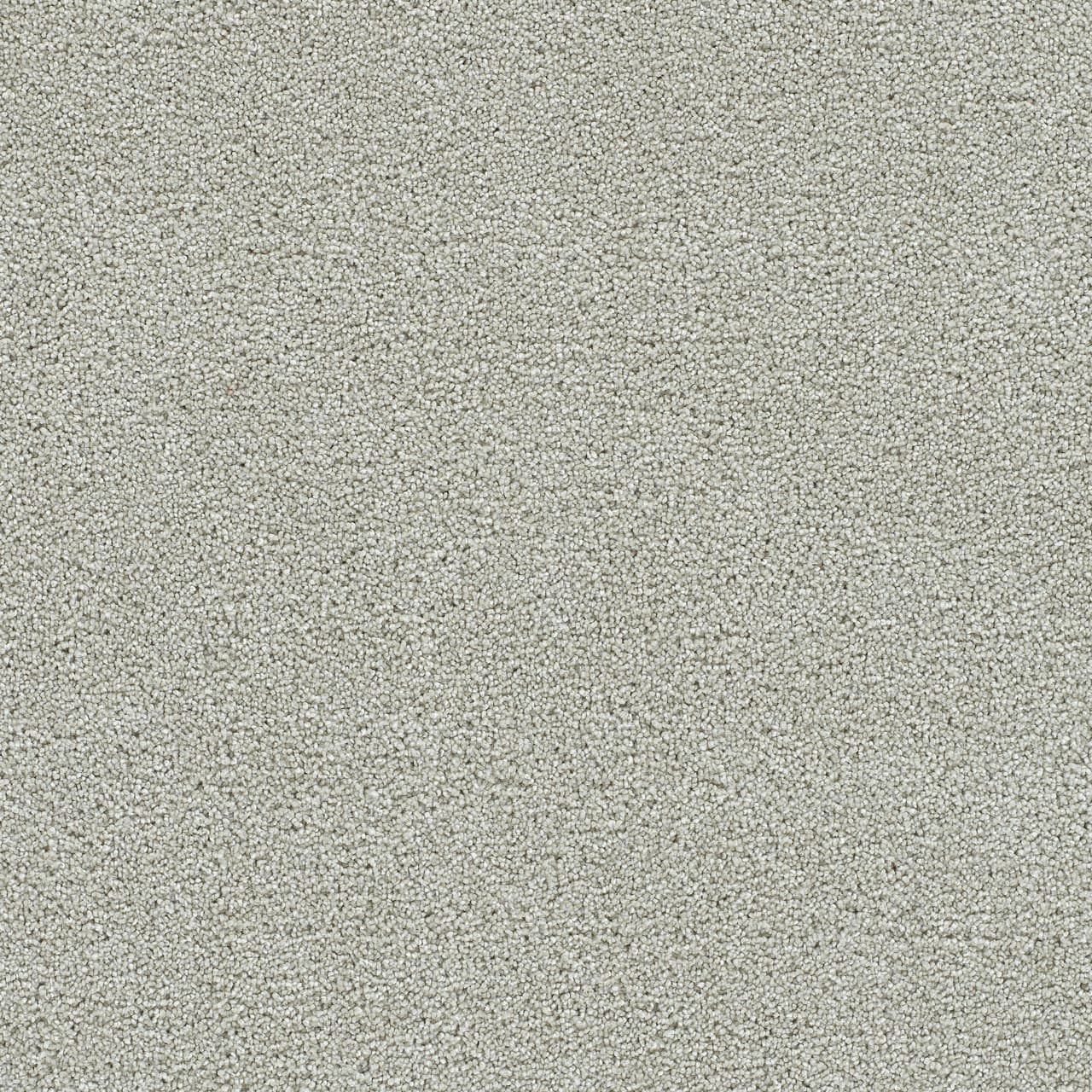 Clearwater I Brightwater Clearwater I Carpet flooring