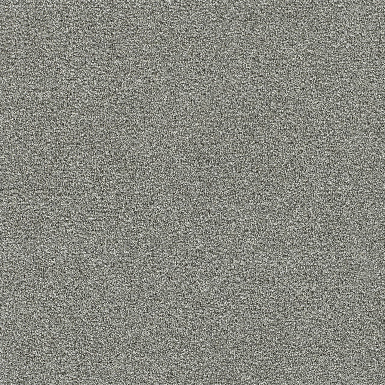 Clearwater I Chilly Night Clearwater I Carpet flooring