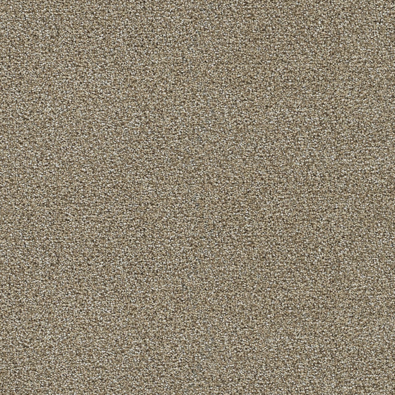 Clearwater I Toasted Oat