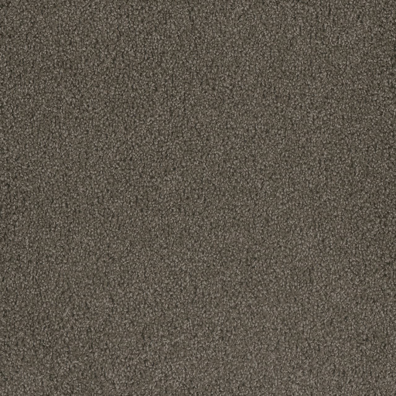 Hammond Creek I Riverbed