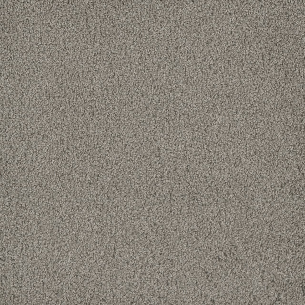 Hammond Creek I Silver Birch