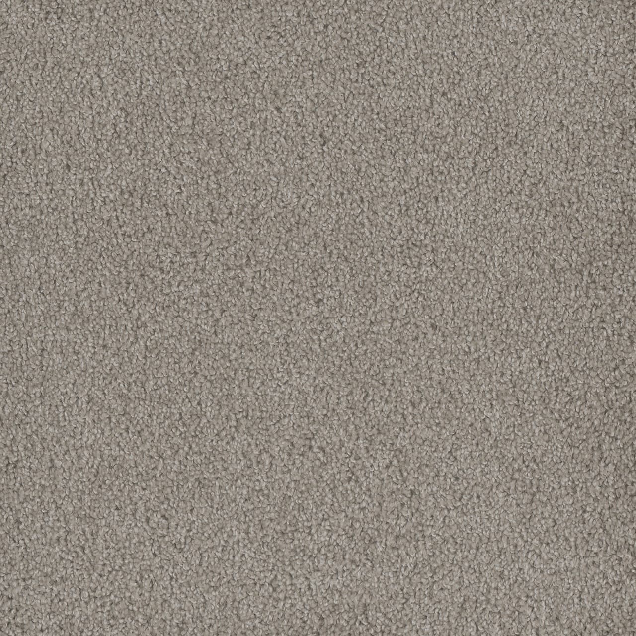 Hammond Creek I Clam Shell