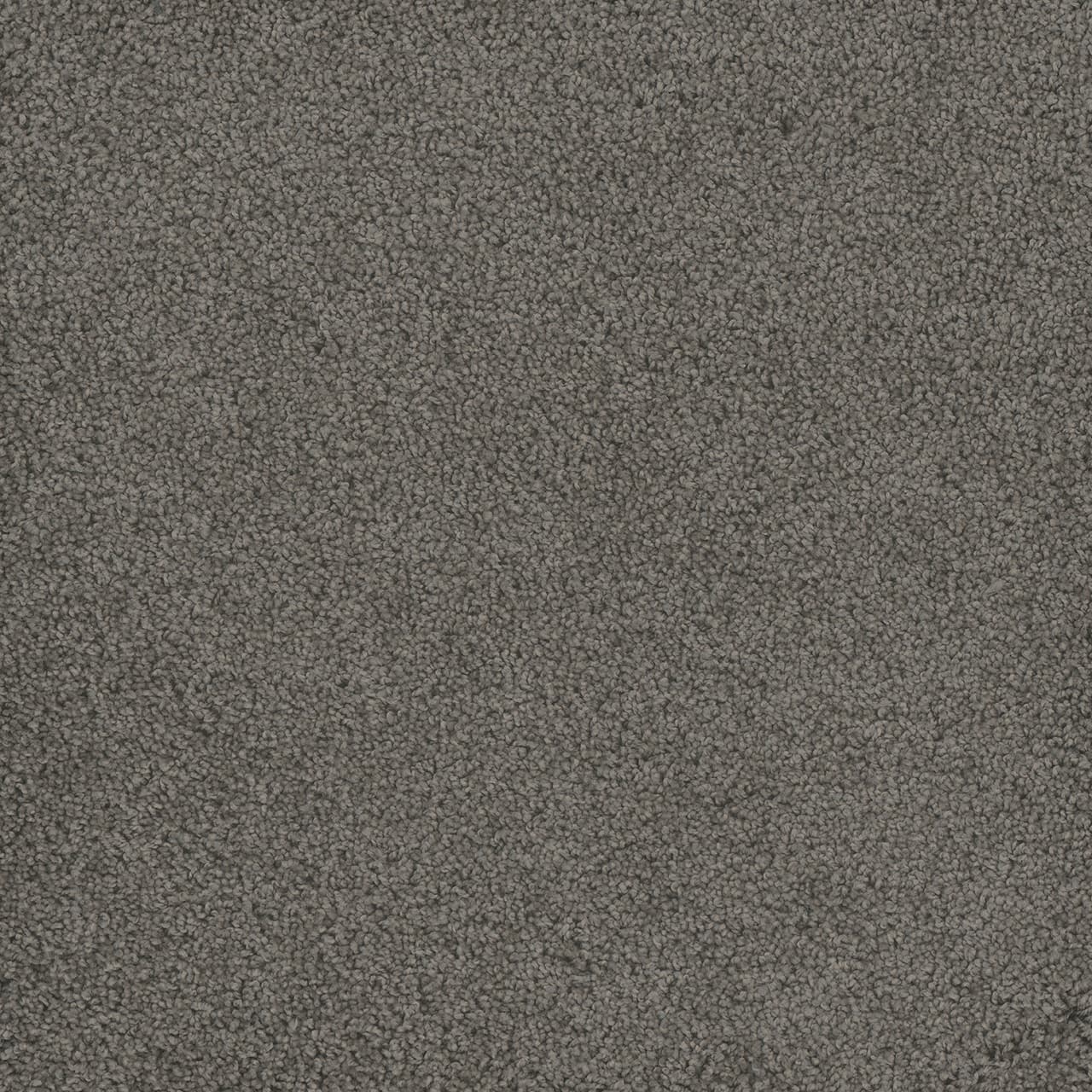 Hammond Creek I Bayside