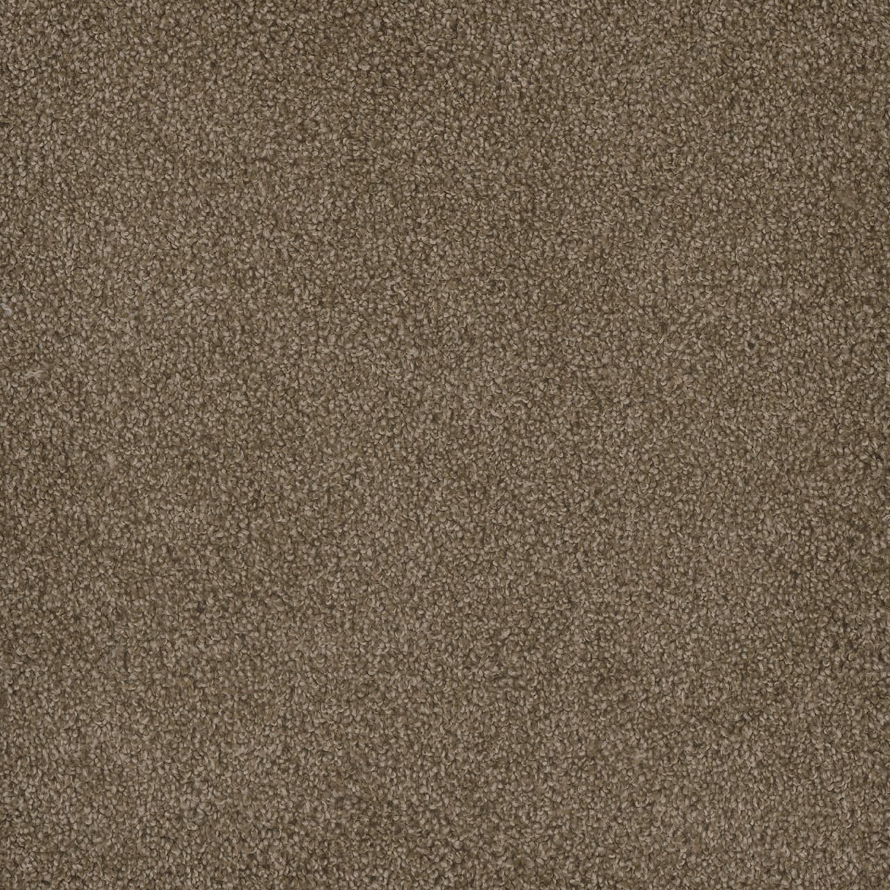 Hammond Creek I Dove