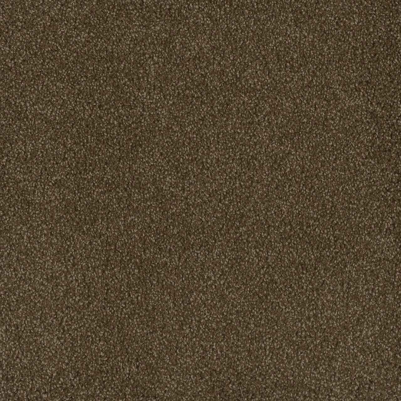 Hammond Creek I Black Walnut