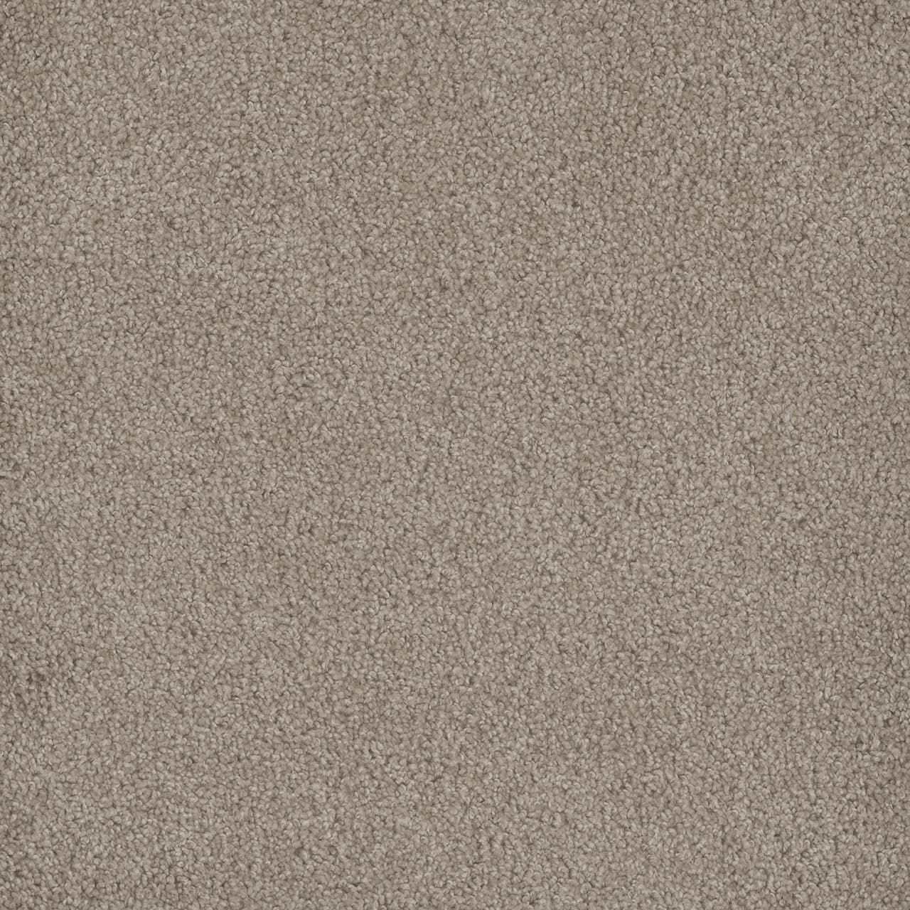 Hammond Creek I Cameo