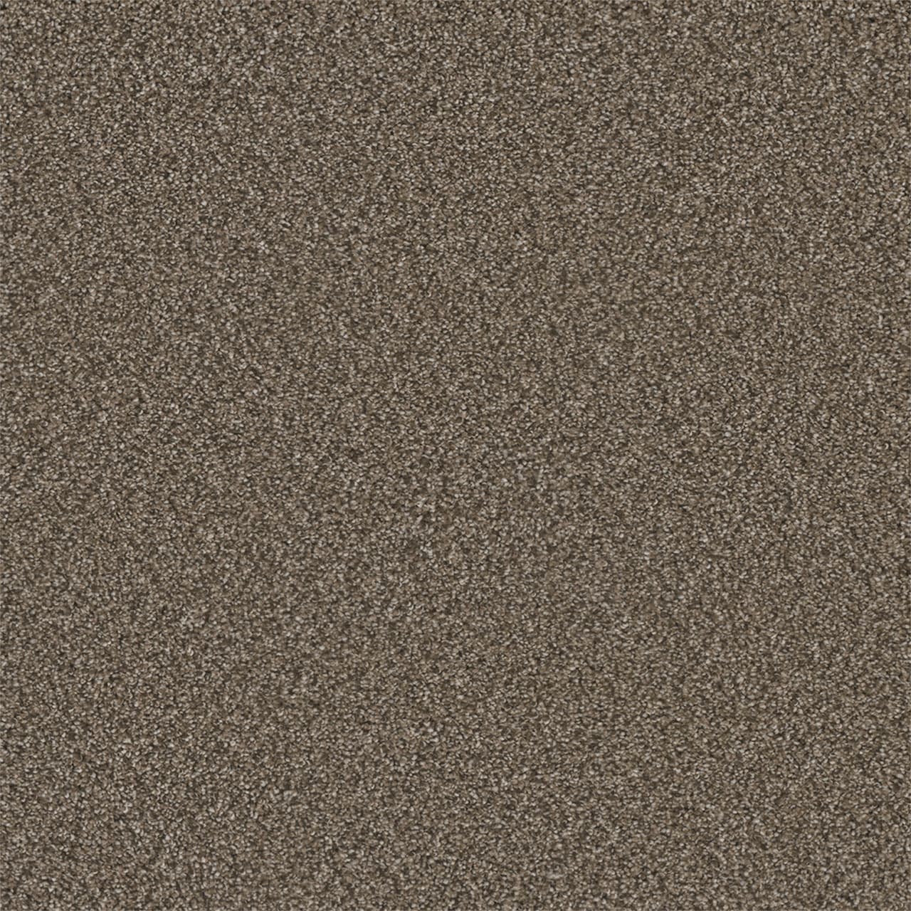 Royale III Fawn