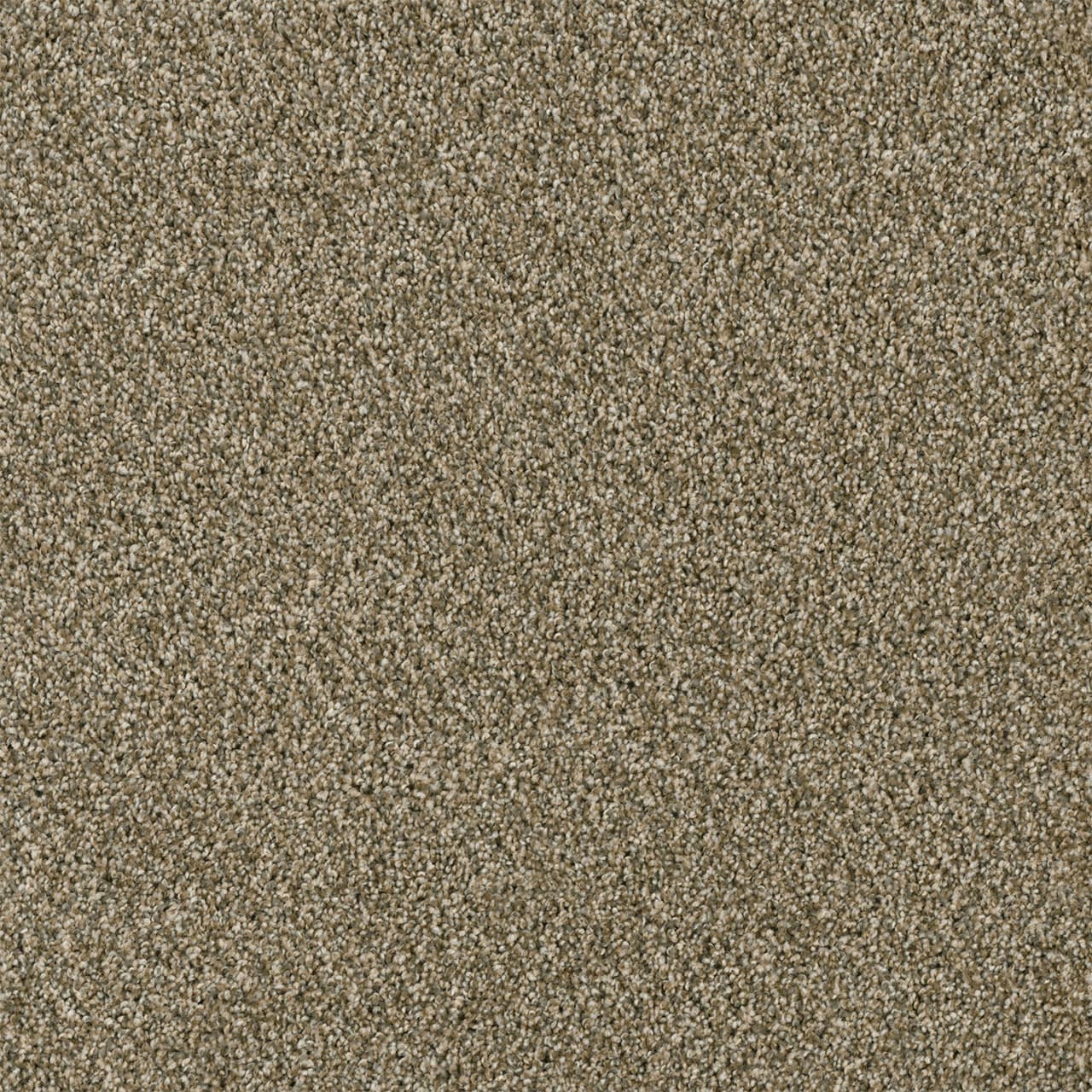 Yellowstone Sienna Sand