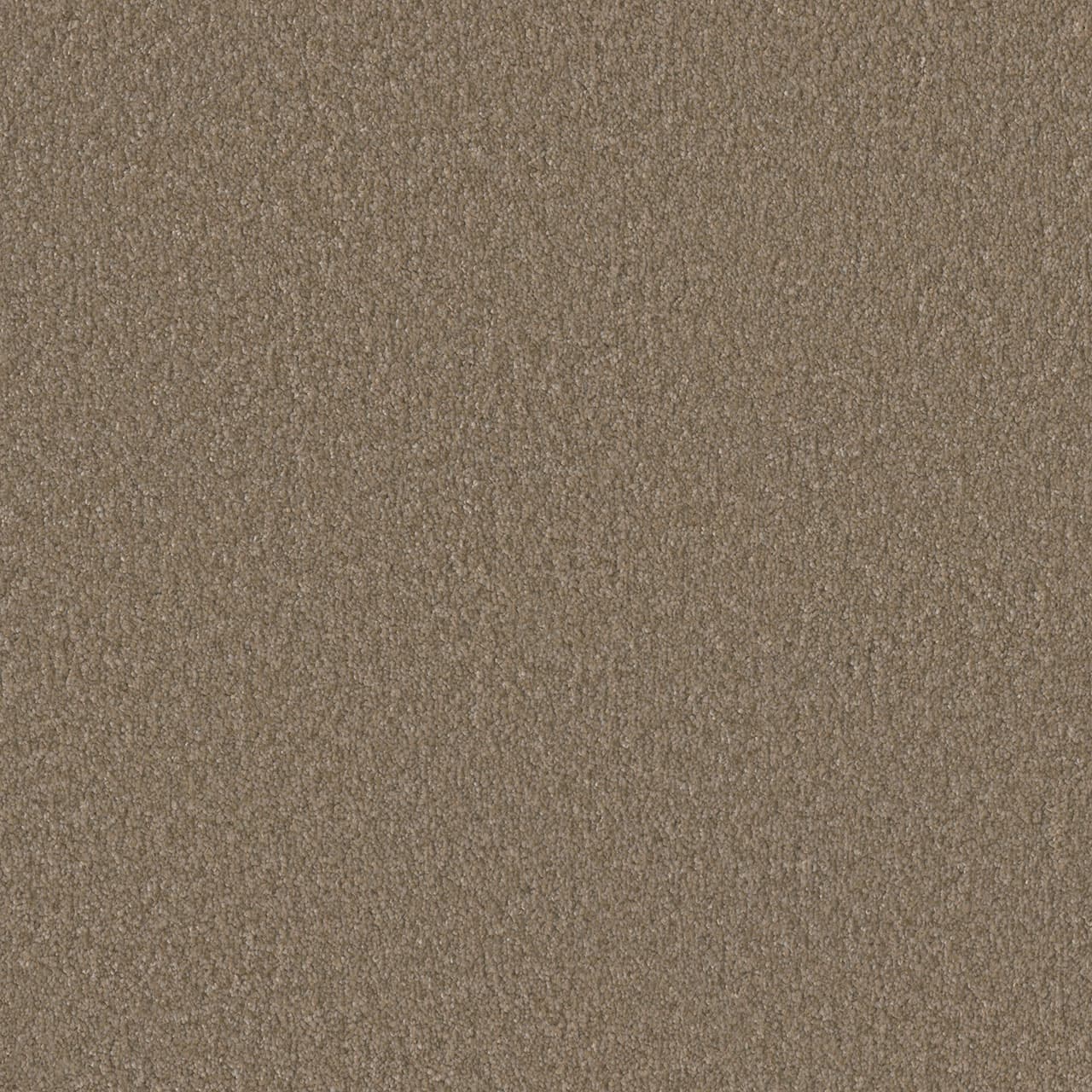 Rock Solid I Fox Tail