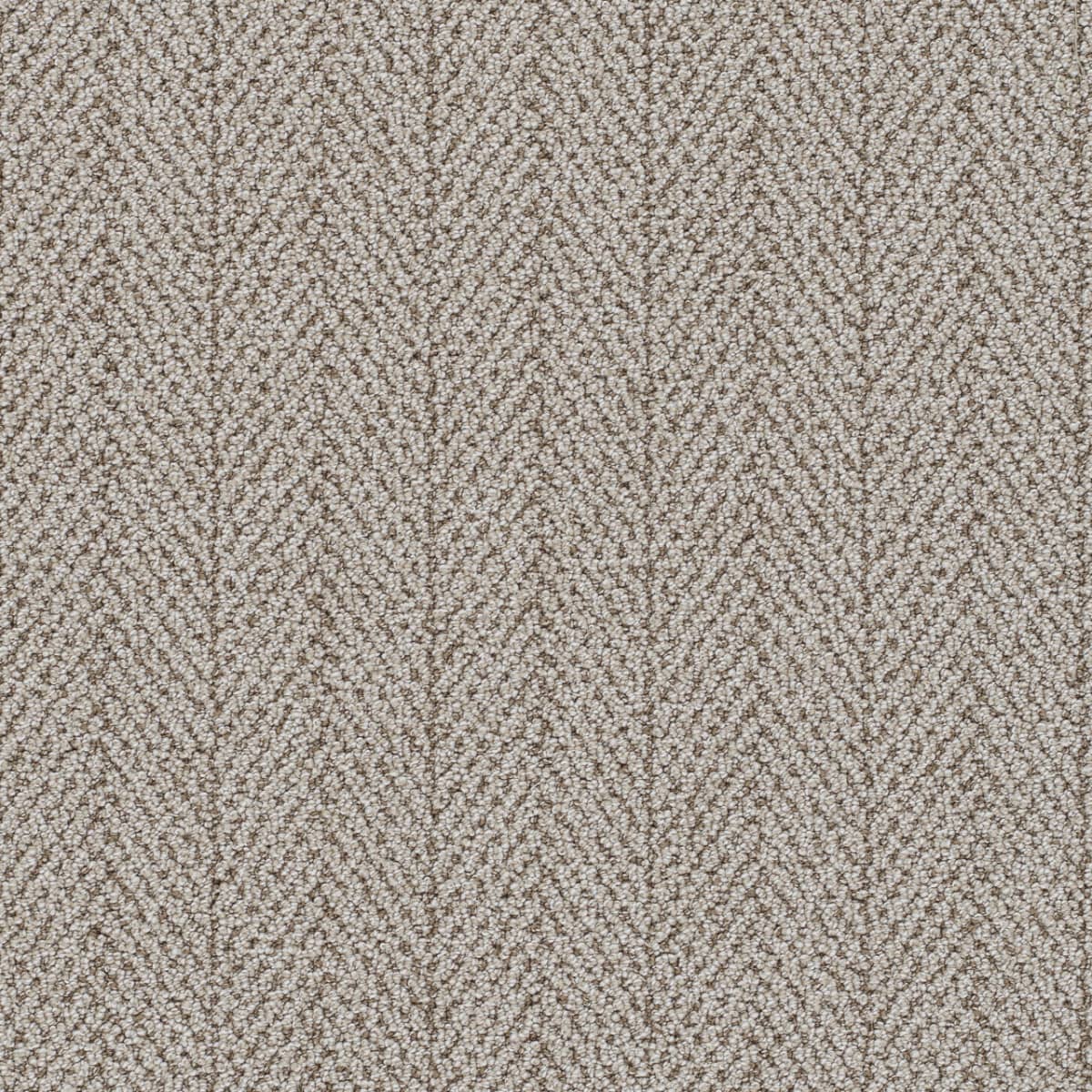 Amalfi Carpet flooring collection