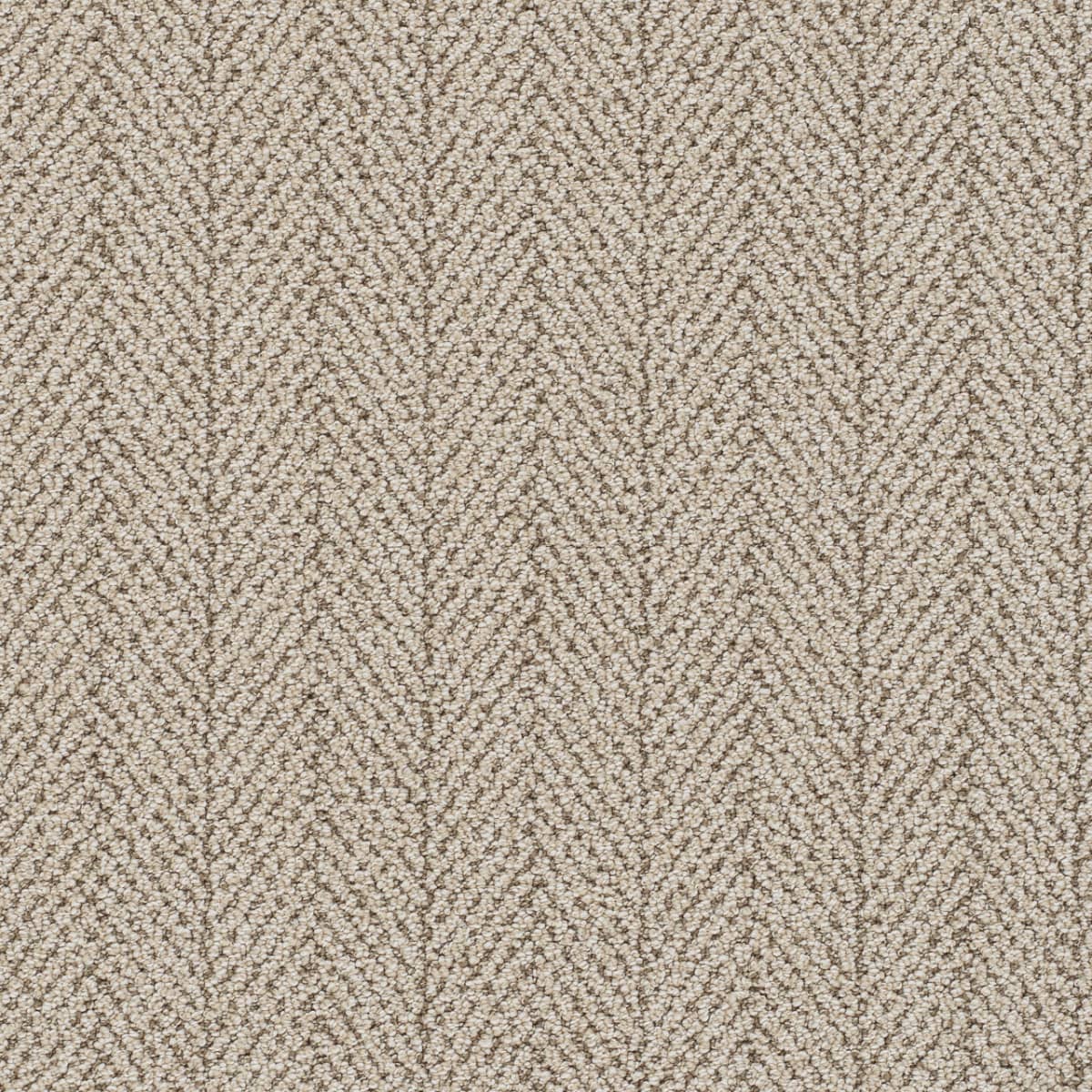 Amalfi Venice Amalfi Carpet flooring