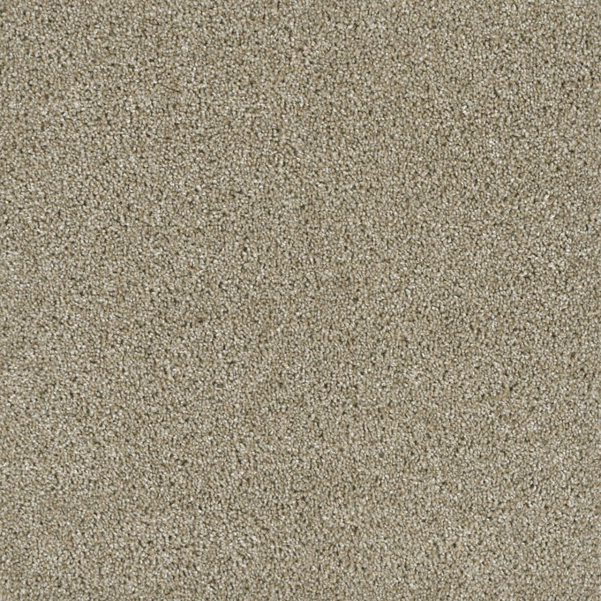 Acclaim Outback Acclaim Carpet flooring
