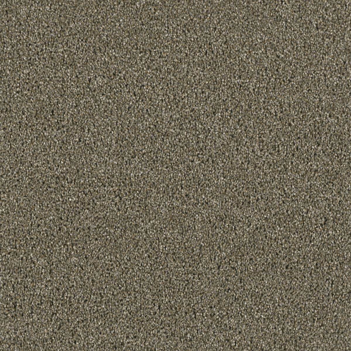 Acclaim Cinnamon Tea