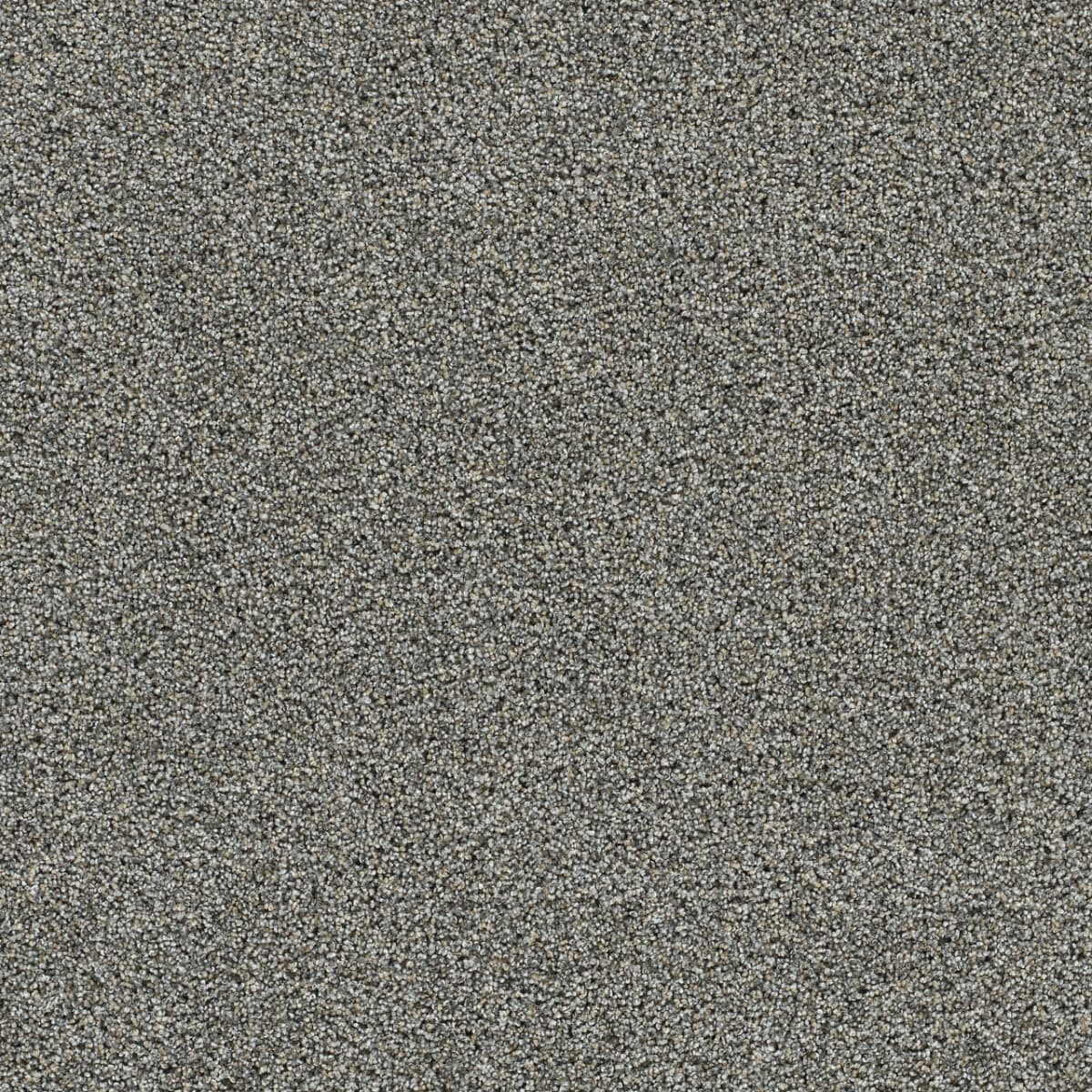Autumn Glow III Elmridge Autumn Glow III Carpet flooring