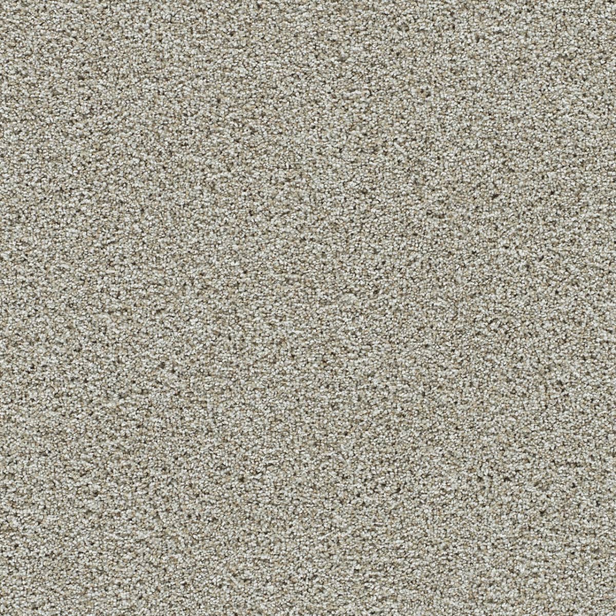 Autumn Glow III Orchard Autumn Glow III Carpet flooring