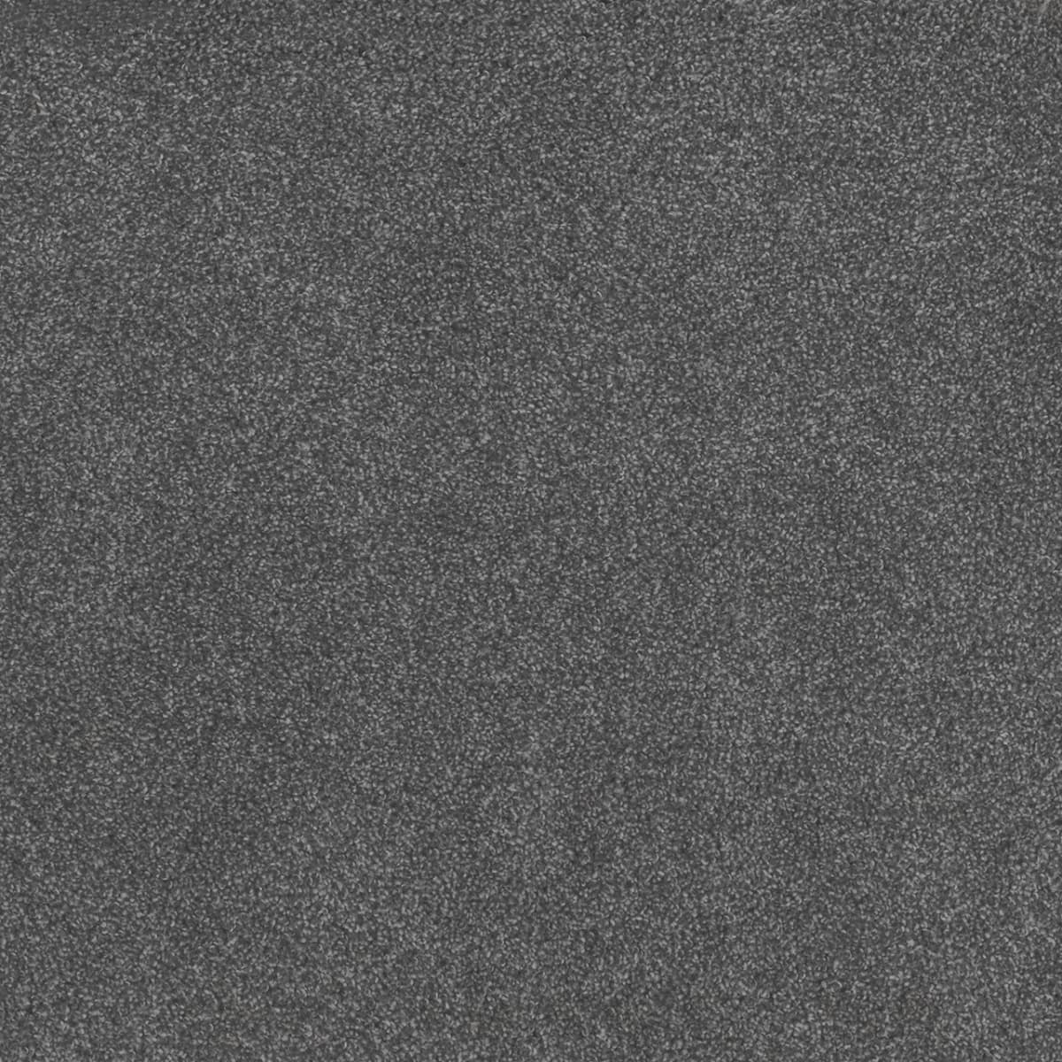 Beach Club I Admiral Beach Club I Carpet flooring