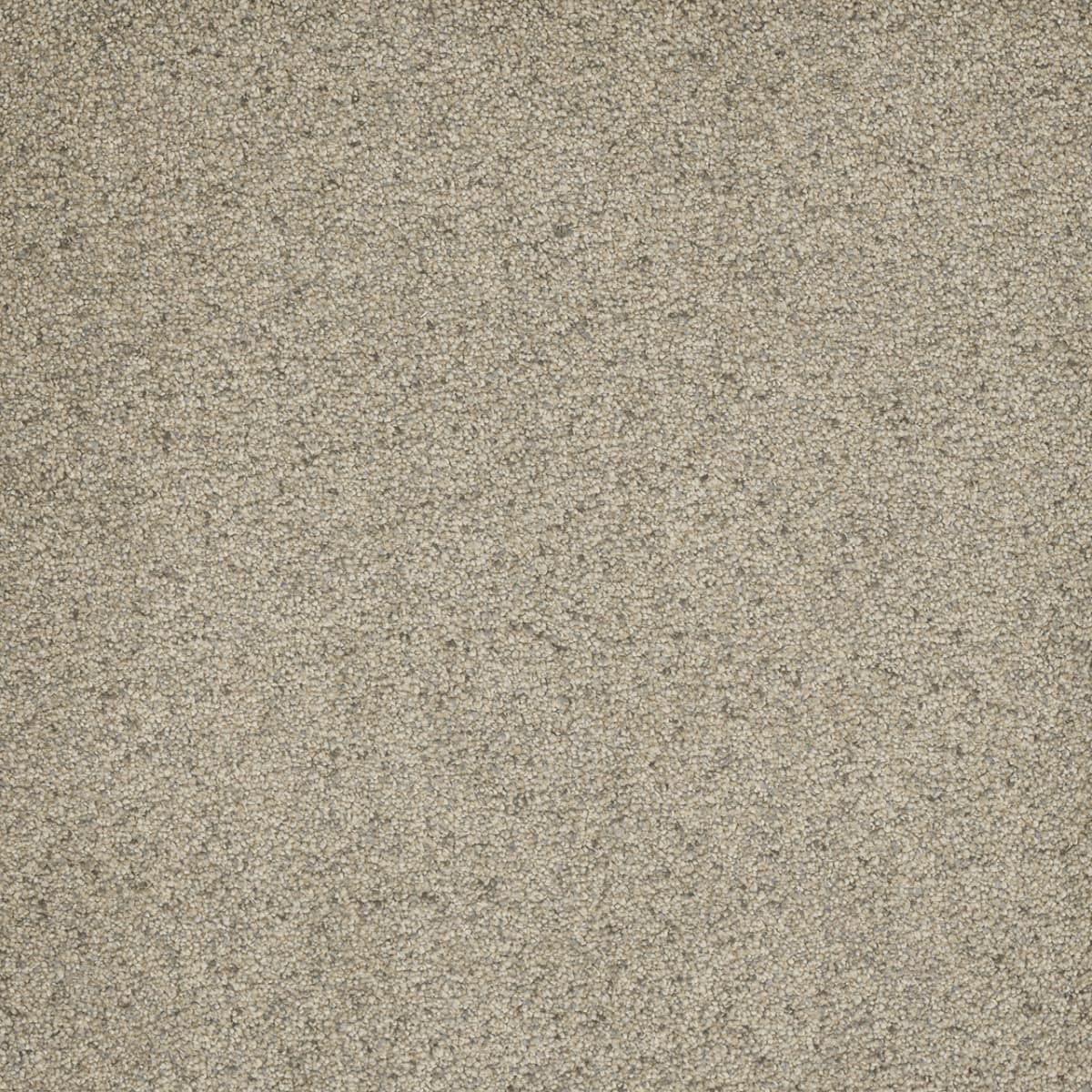 Astounding I Pacific Breeze Astounding I Carpet flooring