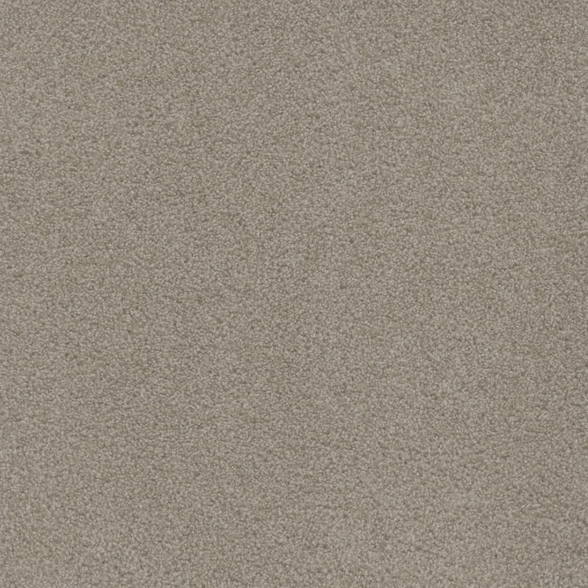 Beach Club II Haystack