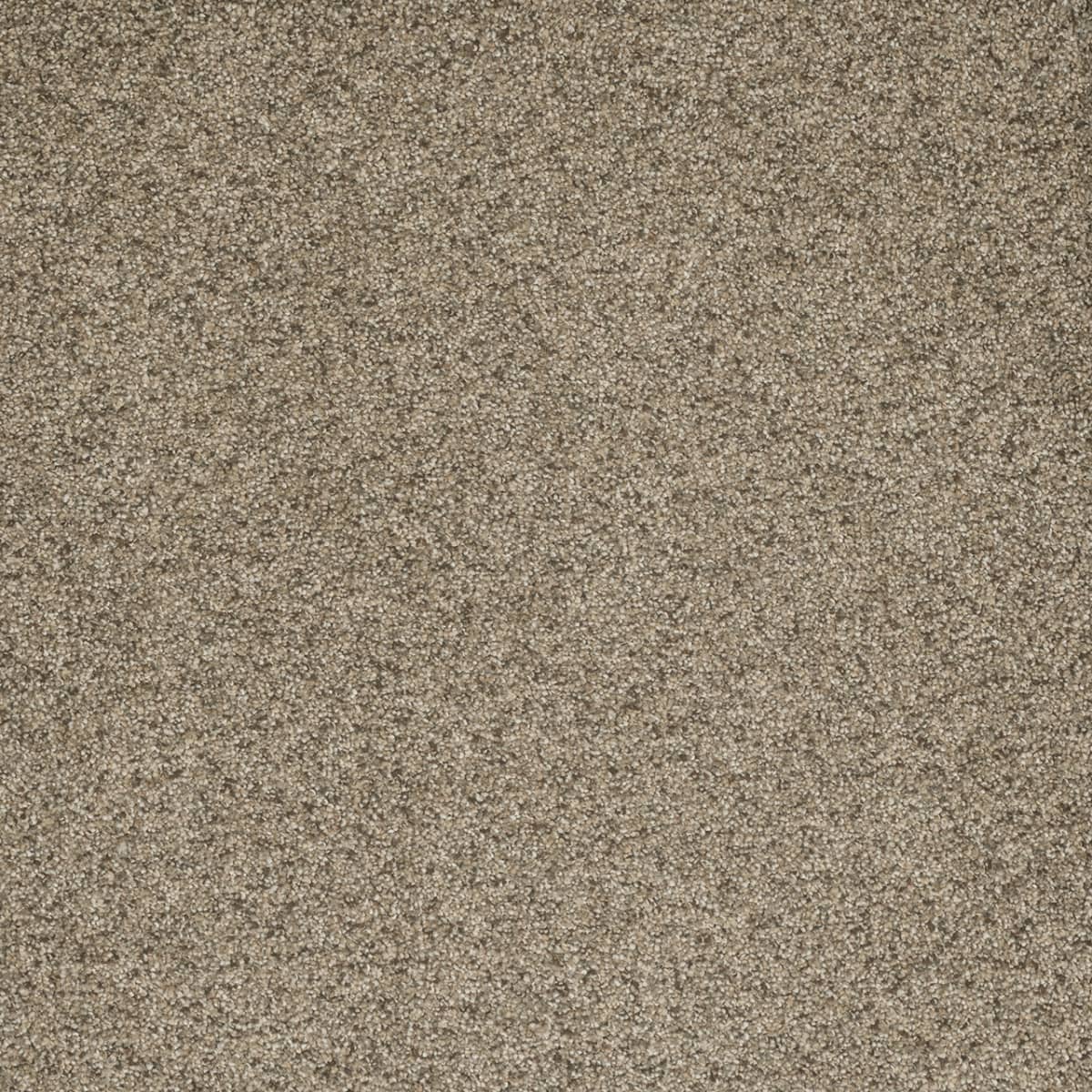 Astounding I Fiery Clay Astounding I Carpet flooring