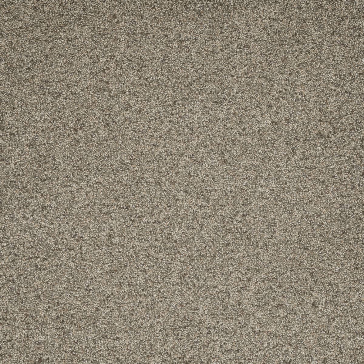 Astounding I Wishing Well Astounding I Carpet flooring