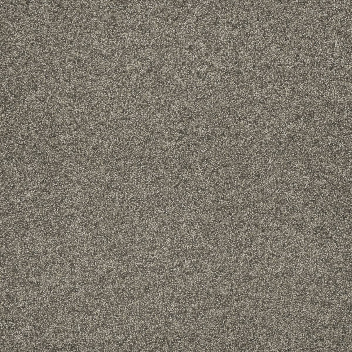 Astounding I Baymount Astounding I Carpet flooring