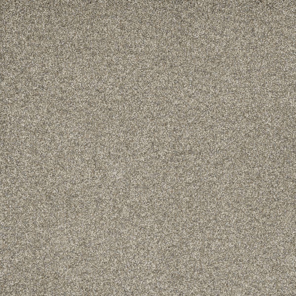 Astounding I Dream Catcher Astounding I Carpet flooring