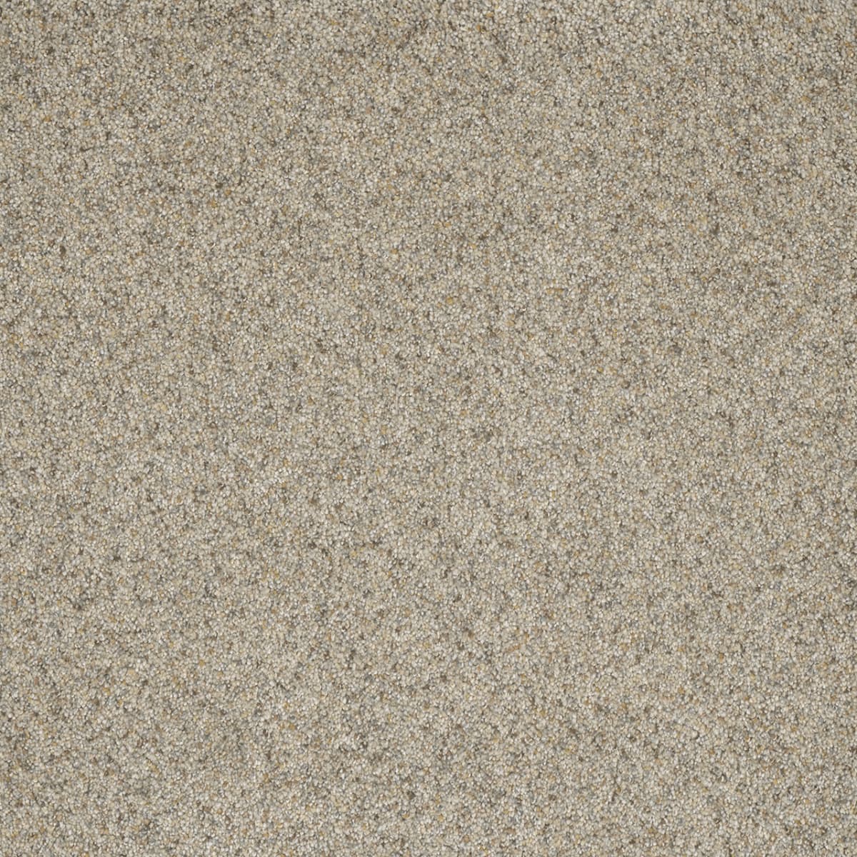 Astounding I Pearl Stone Astounding I Carpet flooring
