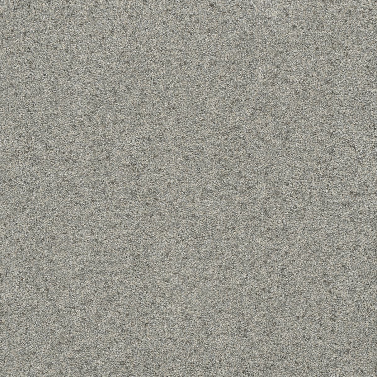 Astounding I Nordic Mist Astounding I Carpet flooring