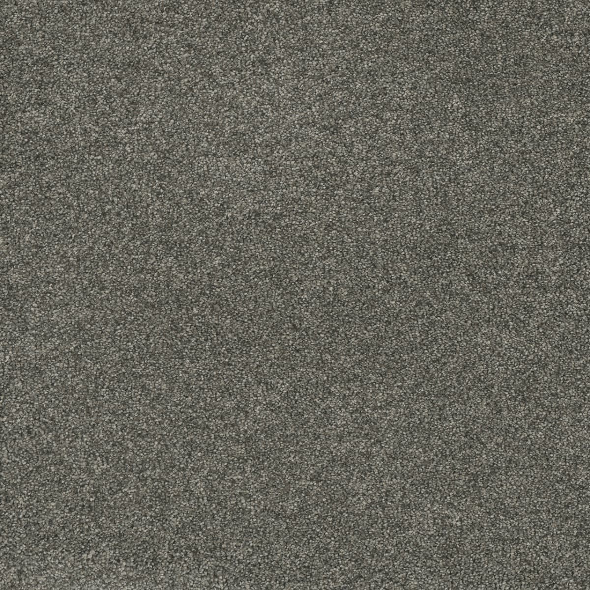 Astounding I Anchors Aweigh Astounding I Carpet flooring