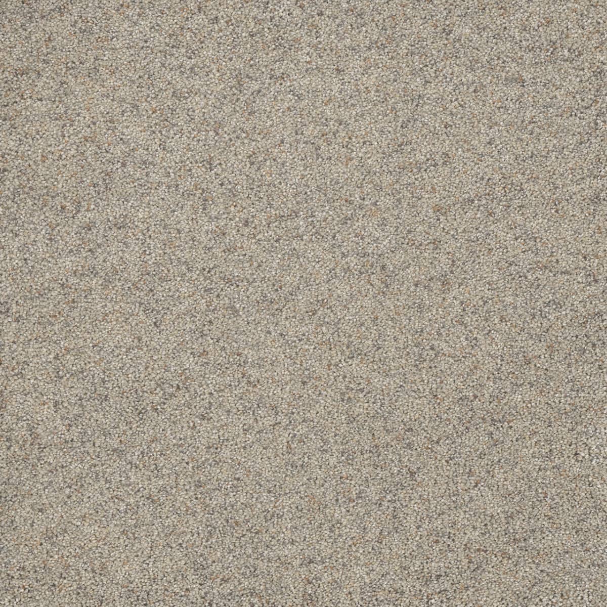 Astounding I Fine Details Astounding I Carpet flooring