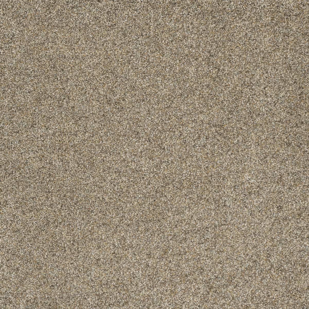 Astounding I Carpet flooring collection