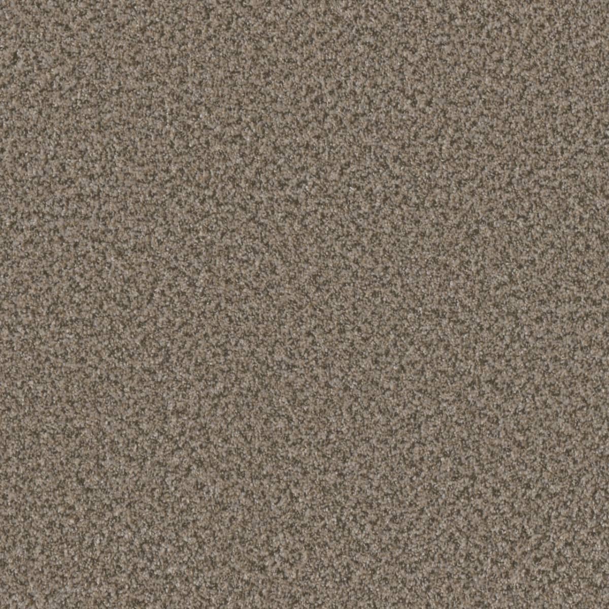 Brazen I Beach Walk Brazen I Carpet flooring