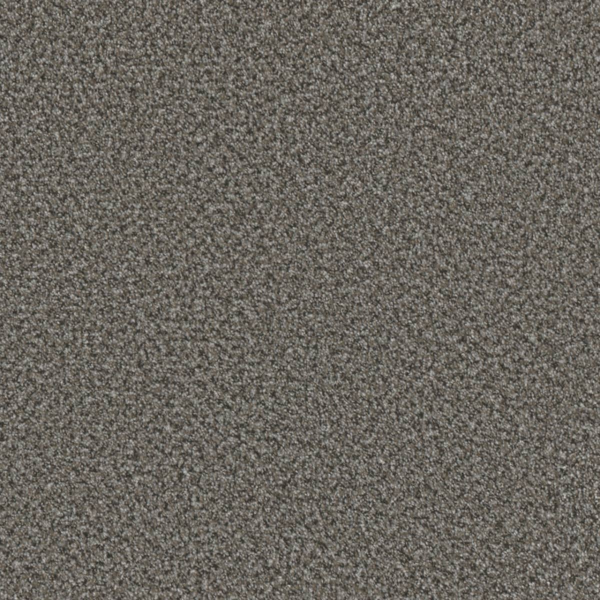 Brazen I Bayou Brazen I Carpet flooring
