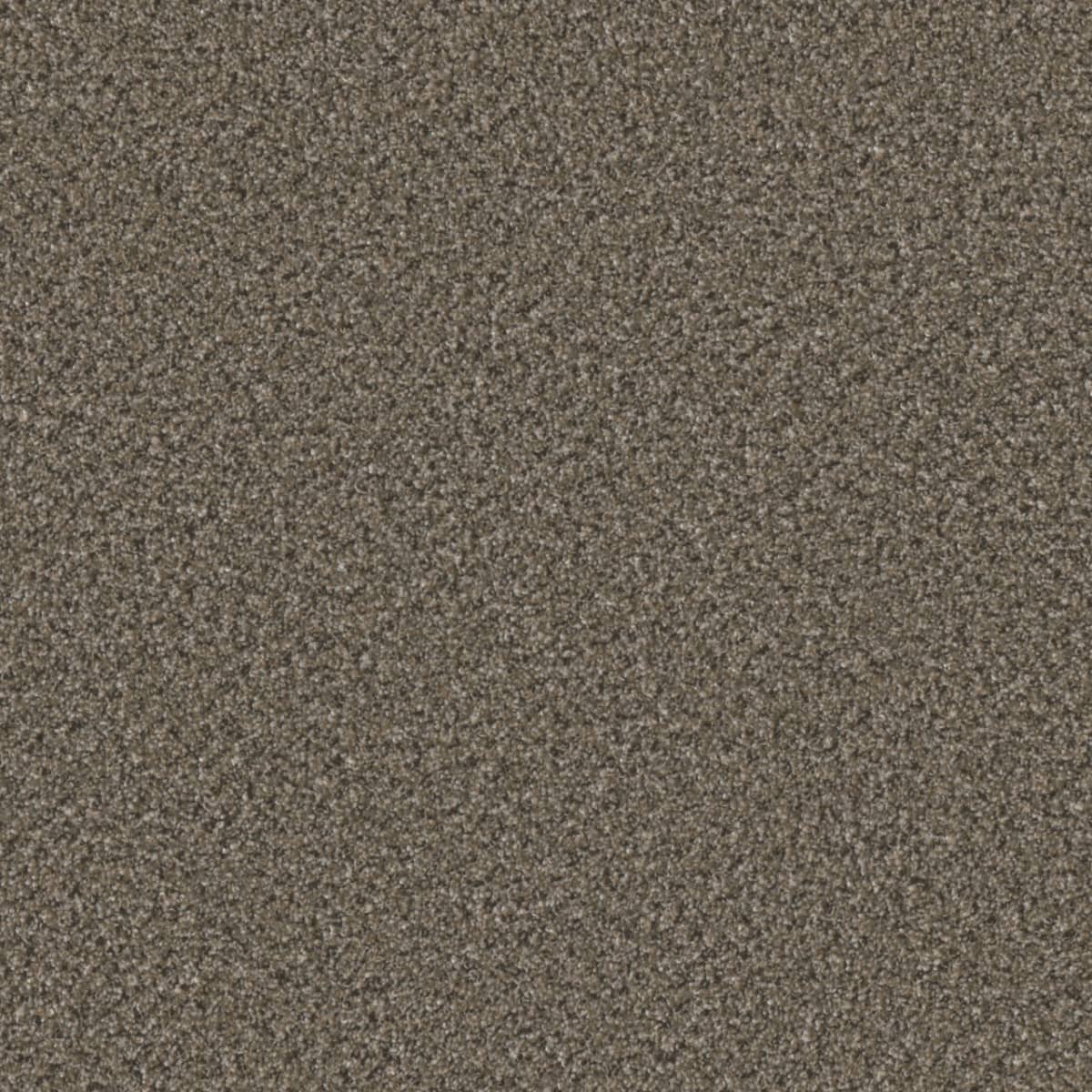 Brazen I Warm & Toasty Brazen I Carpet flooring