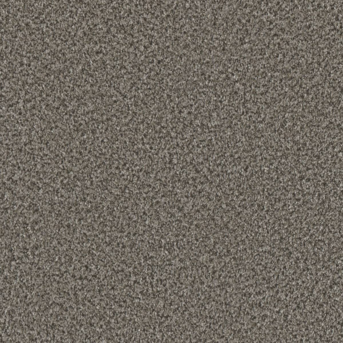 Brazen I Windswept Brazen I Carpet flooring