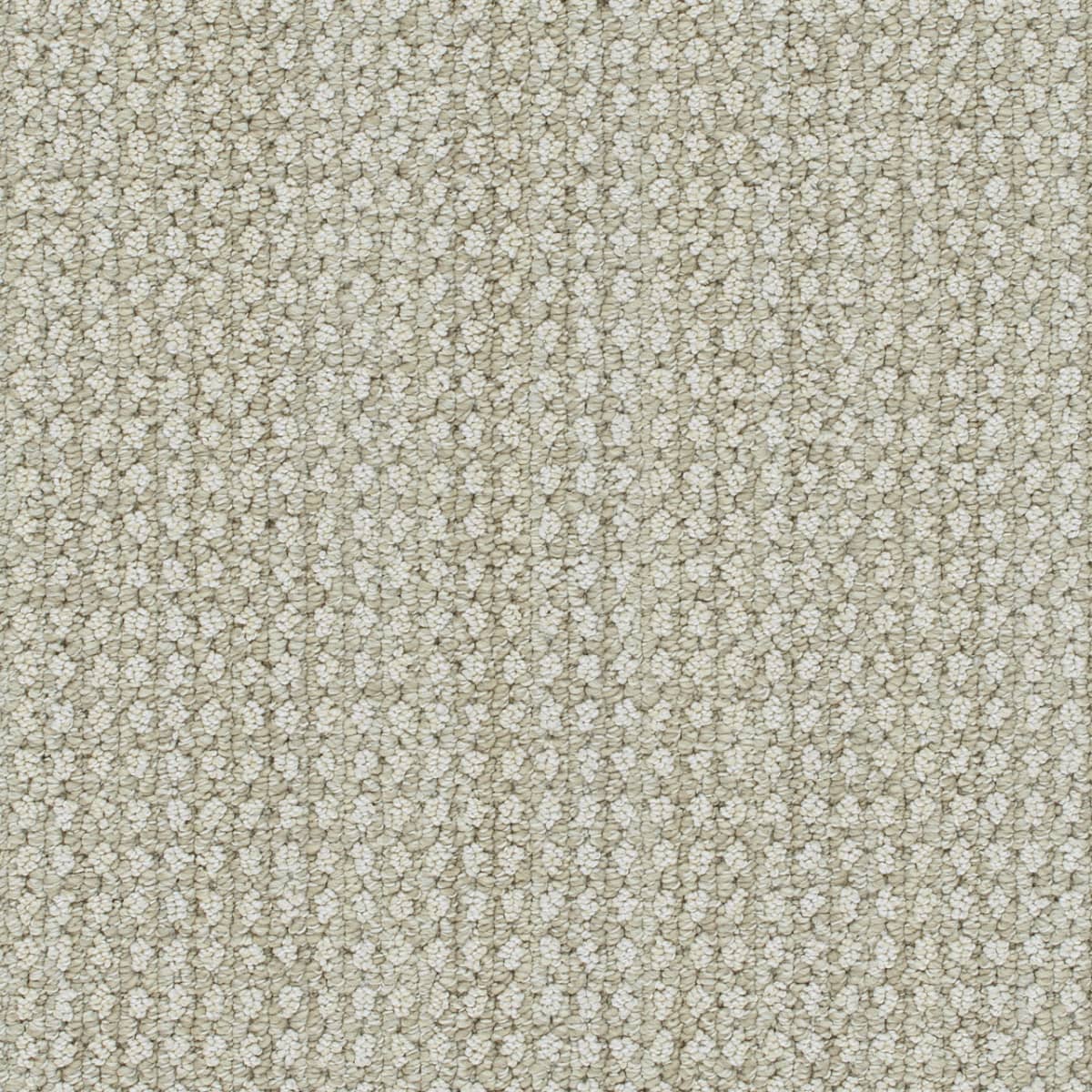 Brunswick Shifting Sands Brunswick Carpet flooring