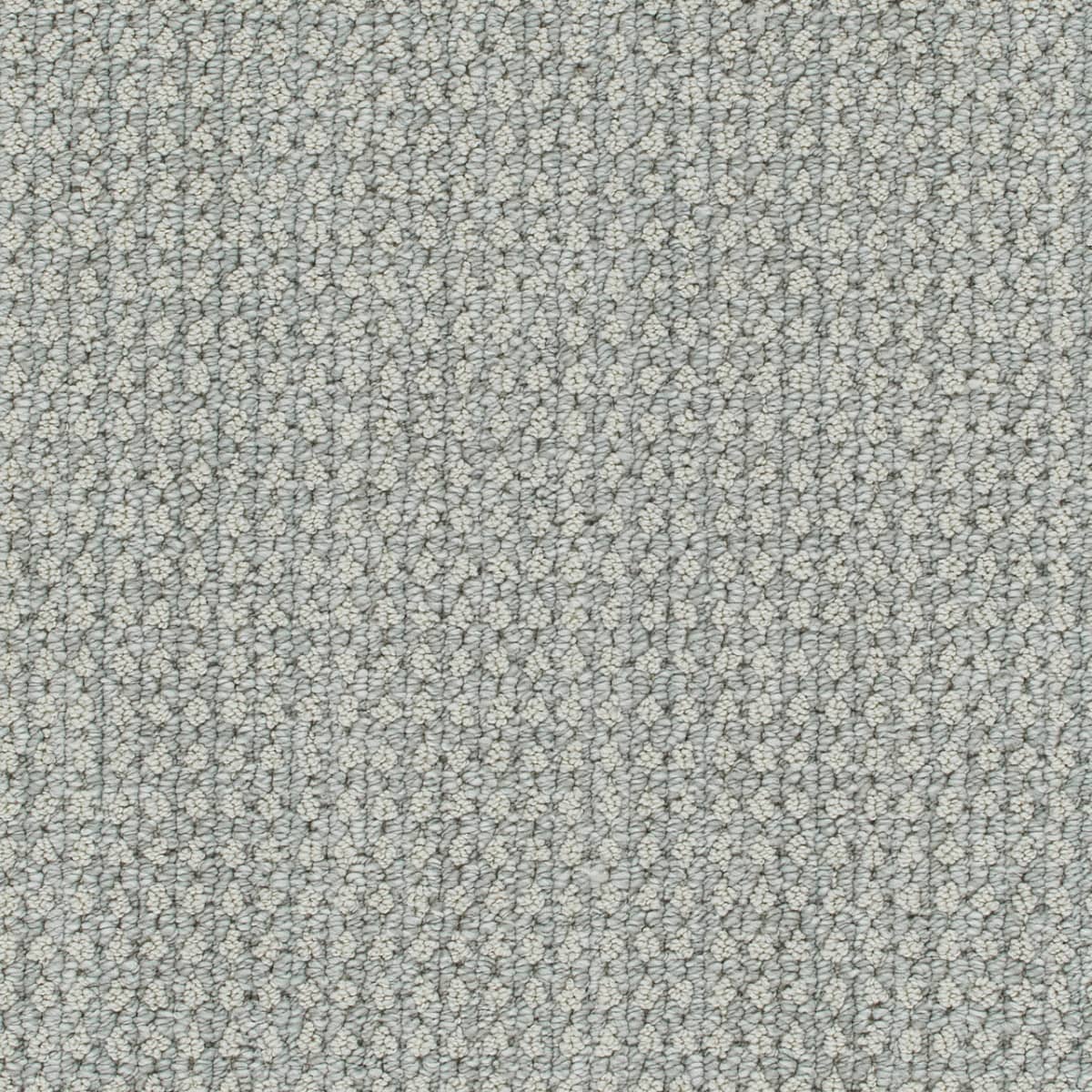 Brunswick Cozy Night Brunswick Carpet flooring
