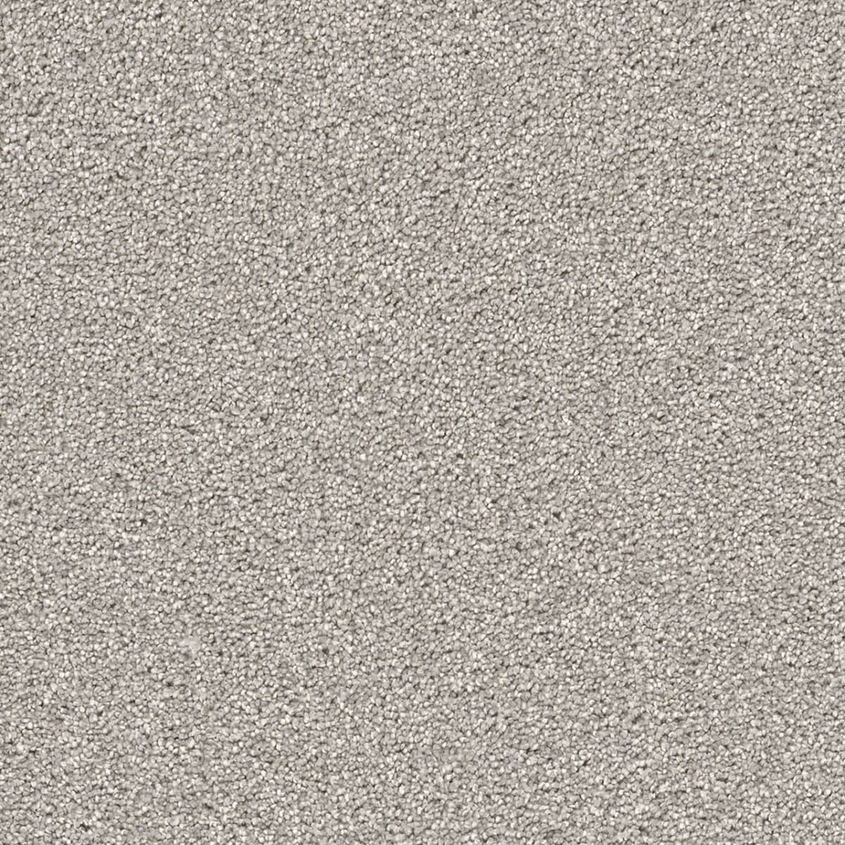 Cape Cod Dove Cape Cod Carpet flooring