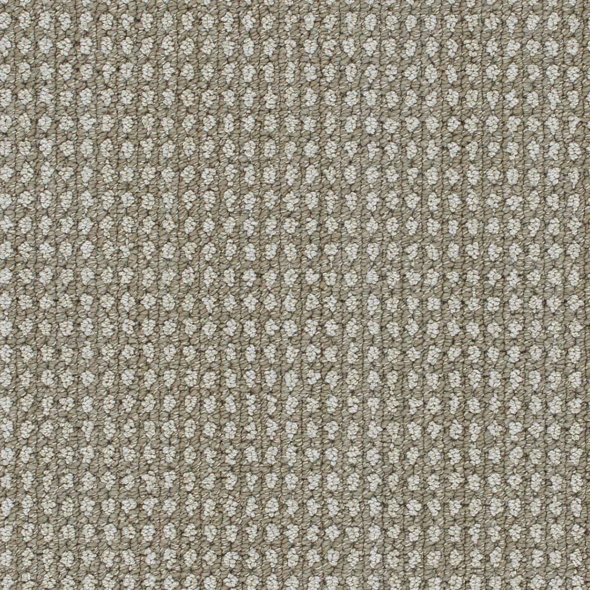 Brunswick Shetland Brunswick Carpet flooring
