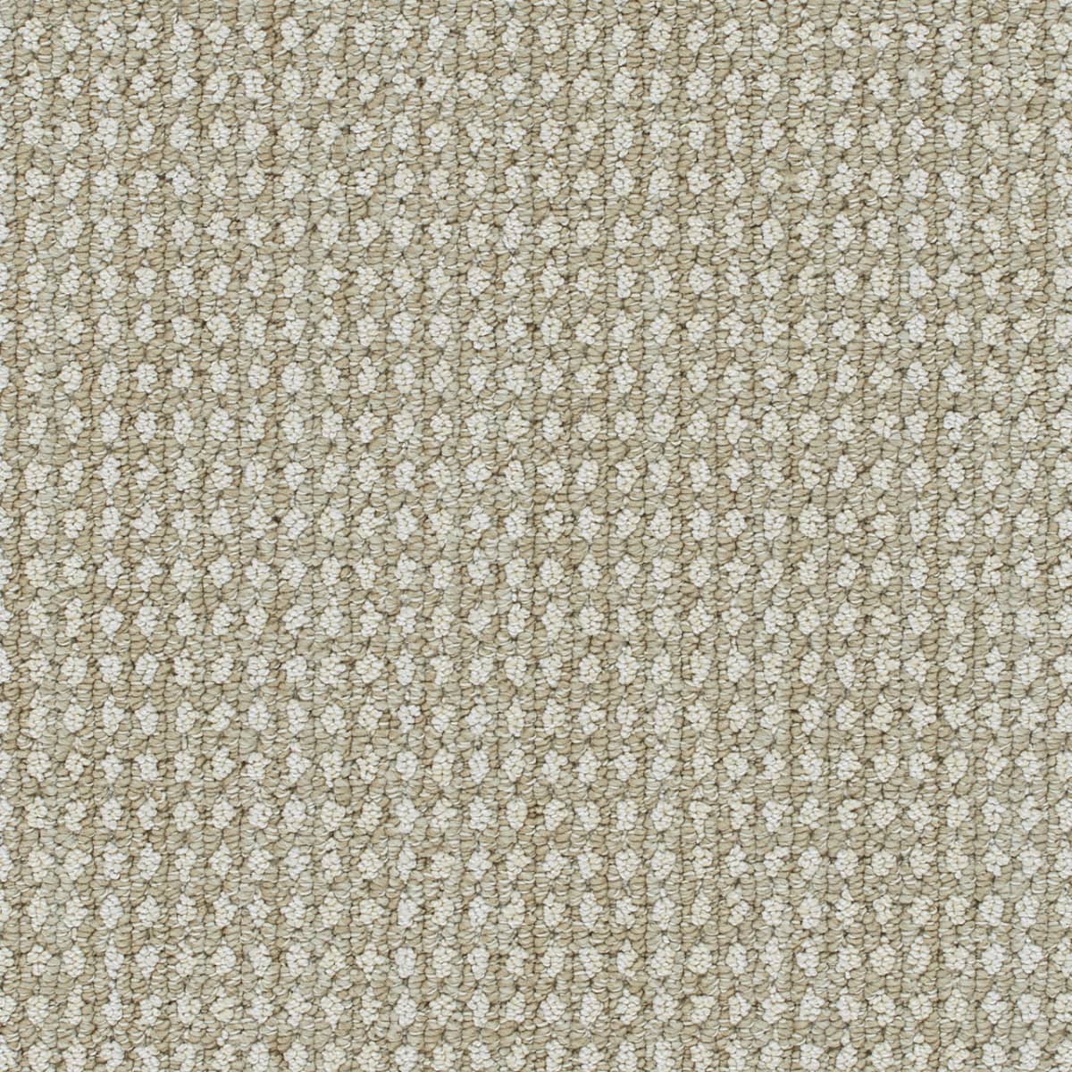 Brunswick Natural Glow Brunswick Carpet flooring